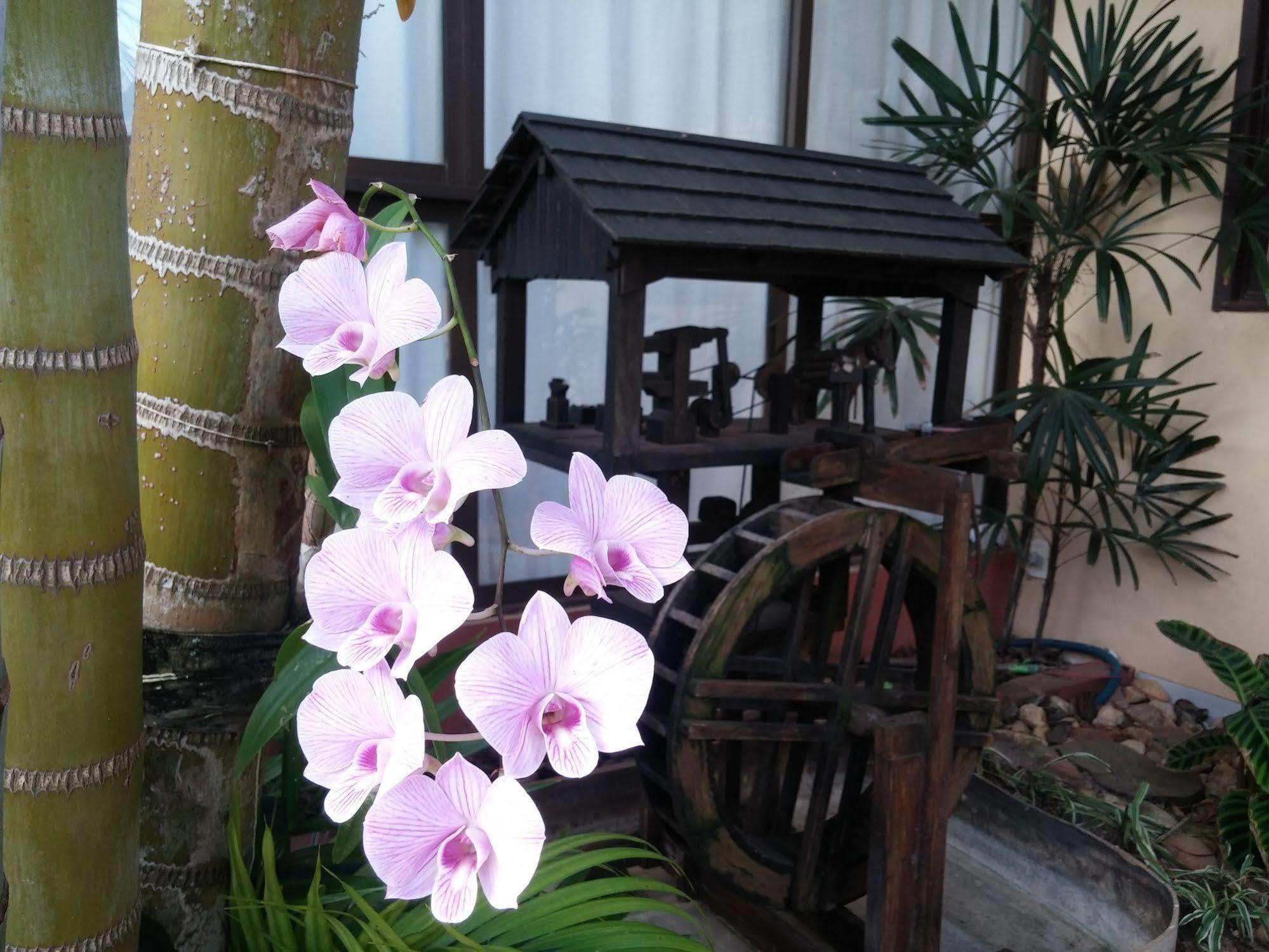 Pousada Do Atoba Florianopolis Ngoại thất bức ảnh