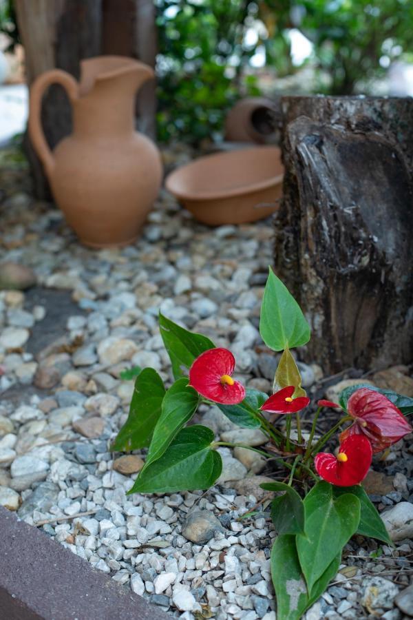 Pousada Do Atoba Florianopolis Ngoại thất bức ảnh