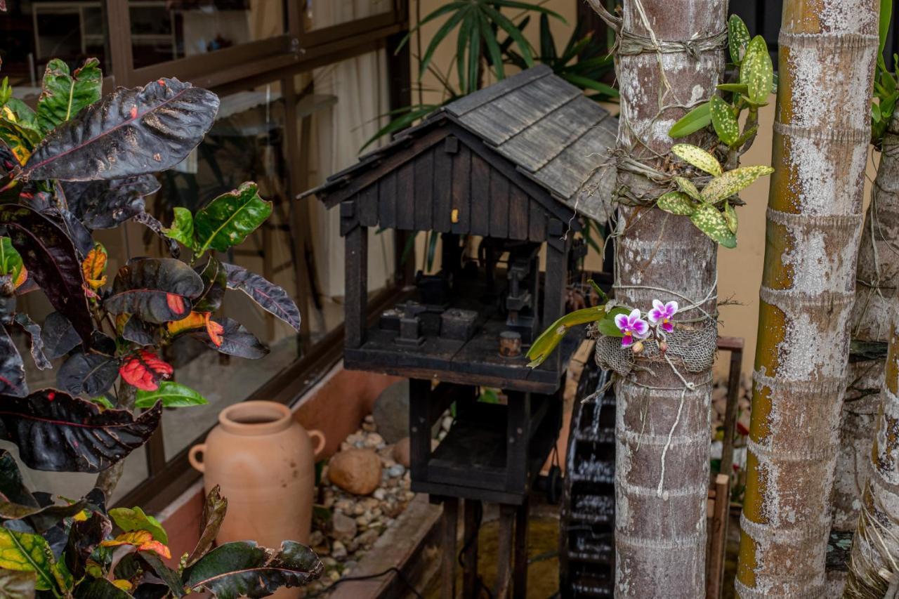 Pousada Do Atoba Florianopolis Ngoại thất bức ảnh