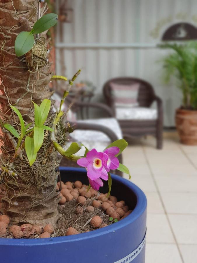Pousada Do Atoba Florianopolis Ngoại thất bức ảnh